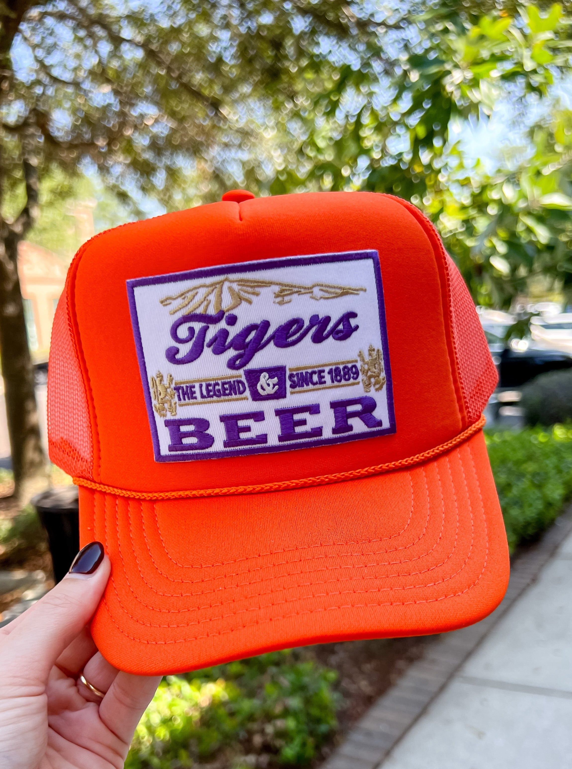 Tigers & Beer Hat