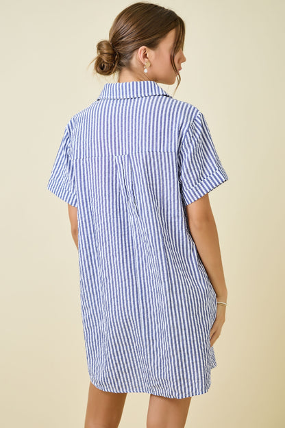 Melanie Shirt Dress