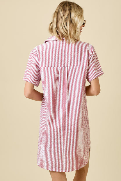 Melanie Shirt Dress