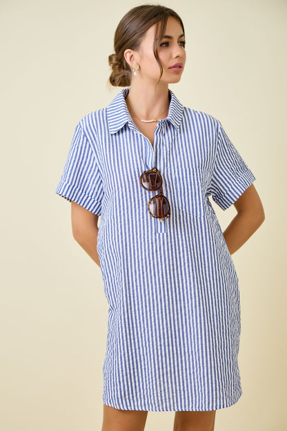 Melanie Shirt Dress