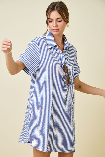 Melanie Shirt Dress