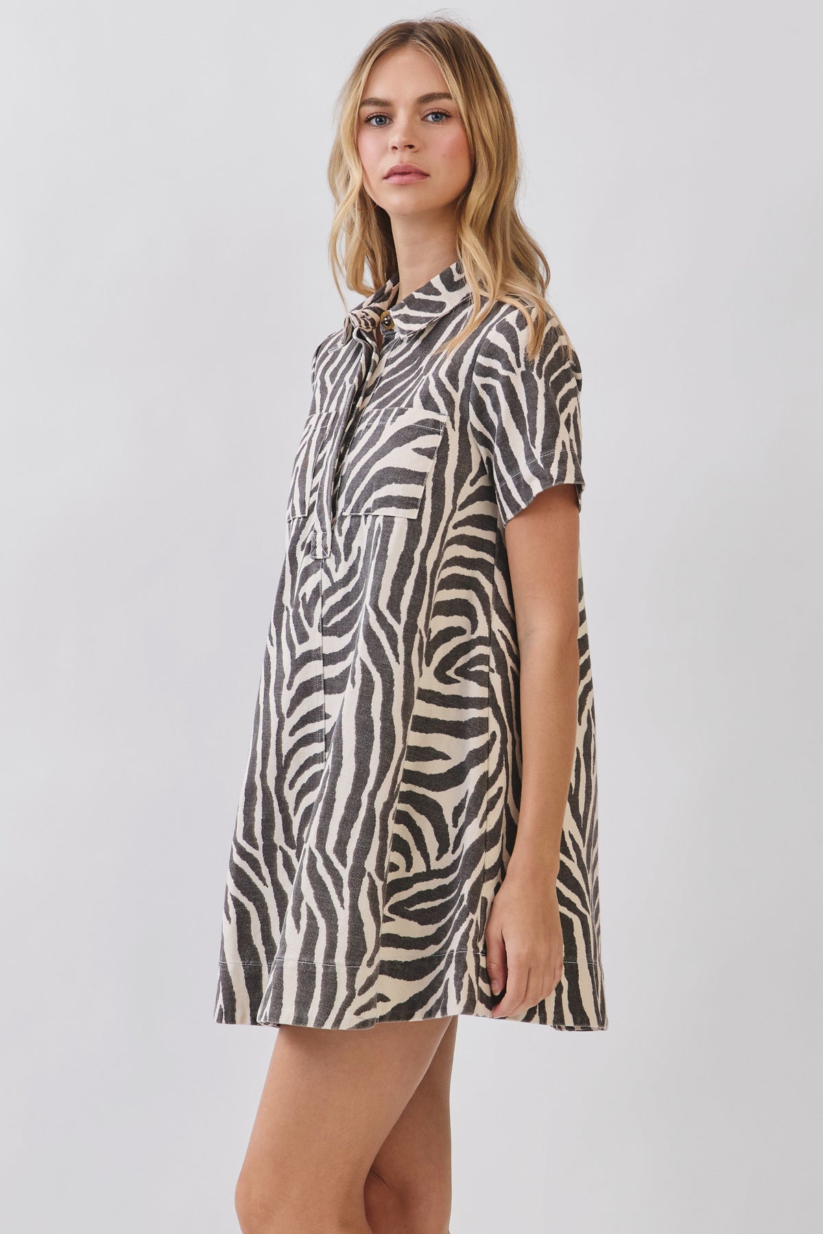 Wild Heart Mini Dress