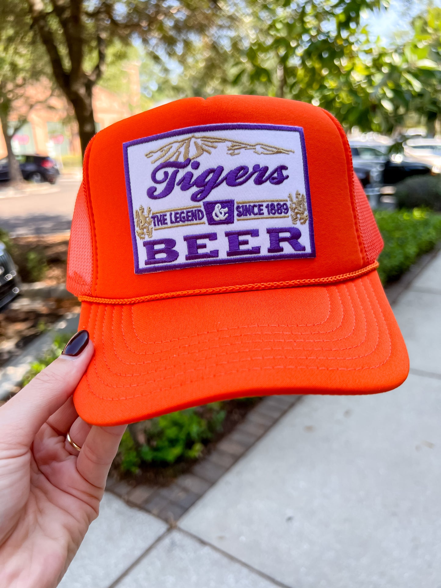Tigers & Beer Hat